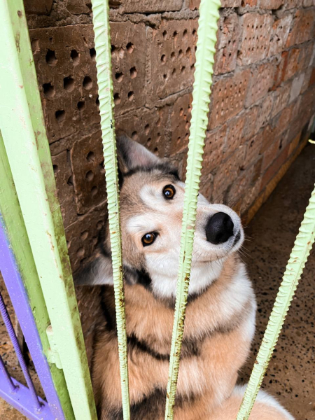 The Road of Life in the shelter - Слайд 1