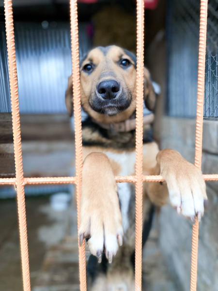 The Road of Life in the shelter - Слайд 2
