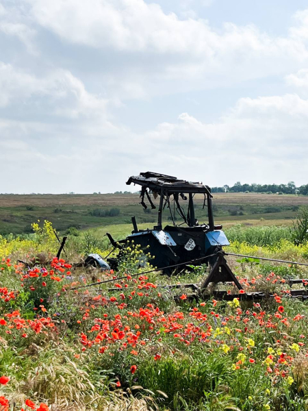 Trip to the Kherson region - Слайд 1