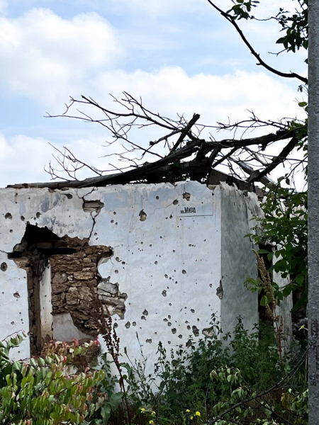Trip to the Kherson region - Слайд 11